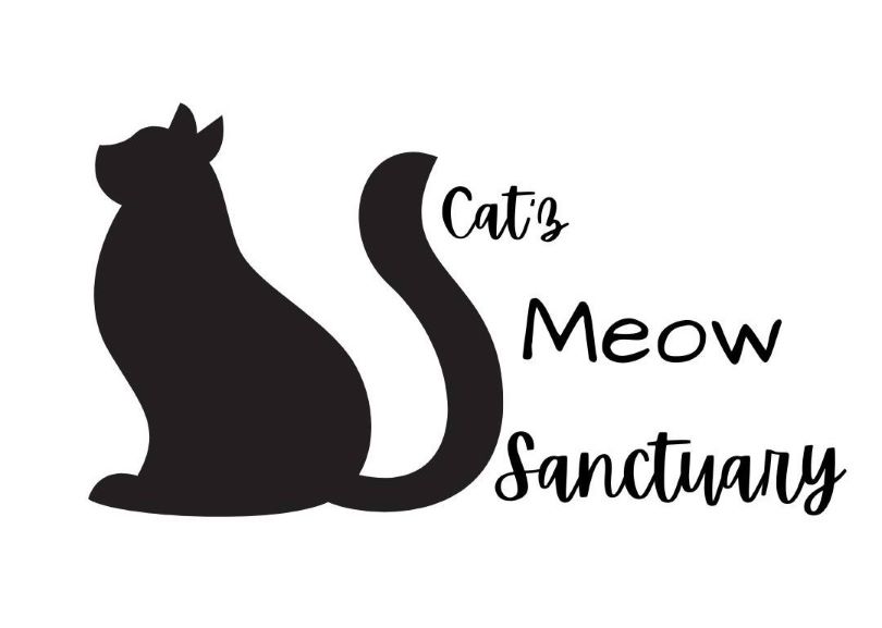 Catz Meow Sanctuary