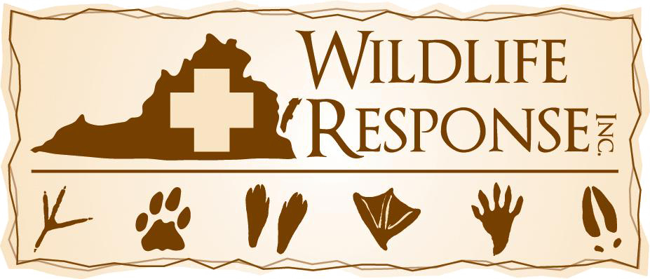 Wildlife Response Inc.