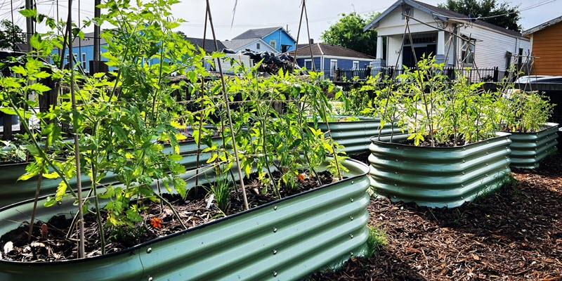 NOLA Artist Incubator Galvez Garden is Getting a Greenhouse