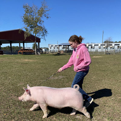 Academy at the Farm FFA Alumni and Supporters