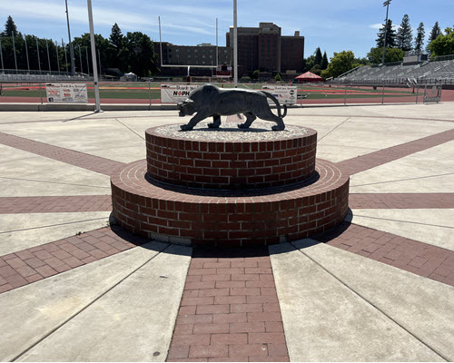 Chico High Sports Boosters Chico High School Bricks - Panther Pathway