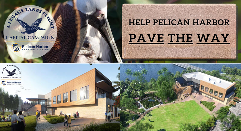 Pelican Harbor Seabird Station Capital Campaign