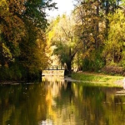 Genesee County Fish & Game Protective Association, Inc. Godfrey's Pond Inground Pool Project